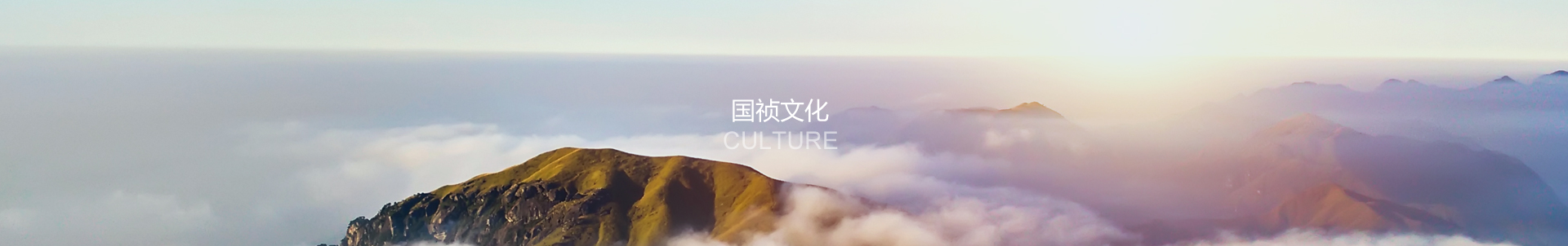 国祯文化